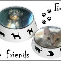 Garde d'animaux à Thionville