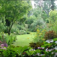 auto-entrepreneur Jardinage Jardinage, LONGPONT SUR ORGE 91