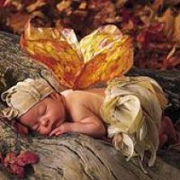 auto-entrepreneur garde d'enfants garde d'enfants, DIJON 21