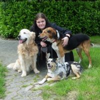 auto-entrepreneur Garde d'animaux Garde d'animaux, VILLE LA GRAND 74