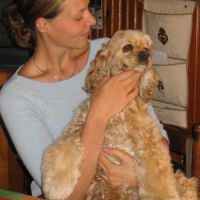 auto-entrepreneur Garde d'animaux Garde d'animaux, CLAMART 92