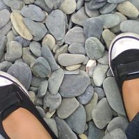 Photo de Femme de ménage à St Germain Les Arpajon