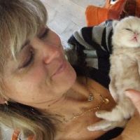 Garde d'animaux à St Martin De Queyriere