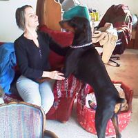 auto-entrepreneur Autres services Autres services, ST LAURENT DE LA SALANQUE 66