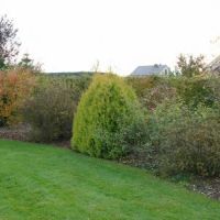 auto-entrepreneur Jardinage Jardinage, HAGONDANGE 57