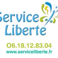 auto-entrepreneur Chauffeur privé (VTC) Chauffeur privé (VTC), FOUQUIERES LES LENS 62