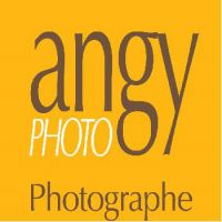 auto-entrepreneur Médias - Spectacle  Médias - Spectacle , TOURS 37