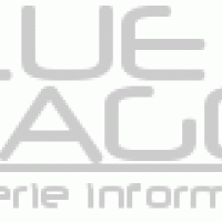 auto-entrepreneur Consultant informatique Consultant informatique, CHARRAIS 86