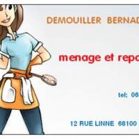 auto-entrepreneur Femme de ménage Femme de ménage, mulhouse 68