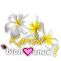 auto-entrepreneur Restauration  Restauration , NANES 44