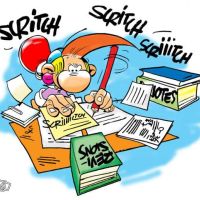 Photo de Consultant à Ouistreham