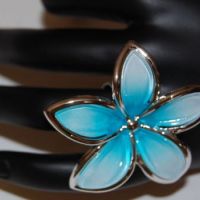 auto-entrepreneur Commercial Commercial, FERRIERES 45