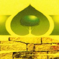 auto-entrepreneur Maçon Maçon, 56000 vannes 56