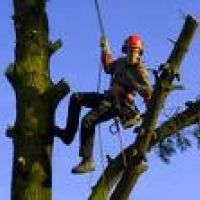 auto-entrepreneur Jardinage Jardinage, quinquempoix 60