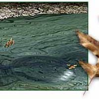 auto-entrepreneur Plombier Plombier, MARSEILLE 14EME ARRONDISS 13