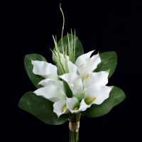 auto-entrepreneur soutien scolaire soutien scolaire, nanterre 92