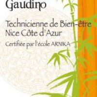 auto-entrepreneur Bien-être Bien-être, Nice 06