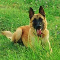 auto-entrepreneur Sécurité  Sécurité , LA ROCHELLE 17