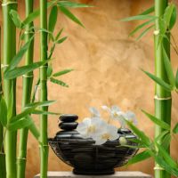 Photo de Bien-être à Mezzavia