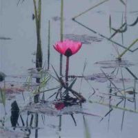 auto-entrepreneur Autres services Autres services, PARIS 75