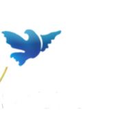 auto-entrepreneur Marketing Marketing, villeneuve le roi 94