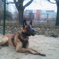 auto-entrepreneur Sécurité  Sécurité , CORBEIL ESSONNES 91