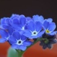 auto-entrepreneur Autres services Autres services, VILLEFRANCHE SUR SAONE 69