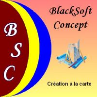 auto-entrepreneur Consultant informatique Consultant informatique, CHATEAURENARD 13