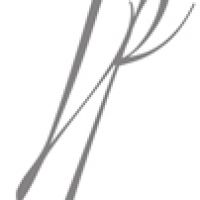 auto-entrepreneur Webmaster Webmaster, PARIS 17EME ARRONDISSEMENT 75