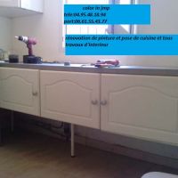 color in jmp FOLELLI