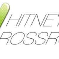 Ingenieur biomedicalchef de projets et redacteur scientifique STRASBOURG