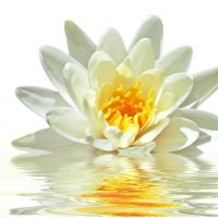 auto-entrepreneur Comptable Comptable, VILLENEUVE LOUBET 06