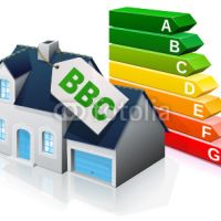 Photo de Plaquiste à Vinca