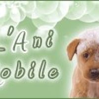 Photo de Garde d'animaux à Marboue