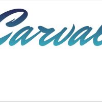 De Carvalho LYS LEZ LANNOY