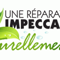 auto-entrepreneur Mécanicien auto Mécanicien auto, NIMES 30