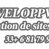 auto-entrepreneur Développeur Développeur, PARIS 75