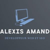 auto-entrepreneur Consultant informatique Consultant informatique, Valenciennes