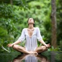 auto-entrepreneur Consultant Consultant, Bordeaux 33