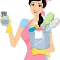 auto-entrepreneur Femme de ménage Femme de ménage, BORDEAUX 33