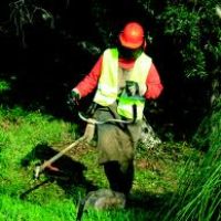 Photo de Paysagiste à Ollioules