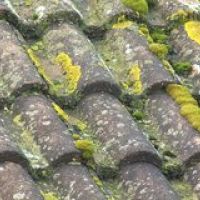 Photo de Jardinage à Masnieres