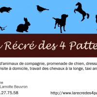 auto-entrepreneur Garde d'animaux Garde d'animaux, LAMOTTE BEUVRON 41