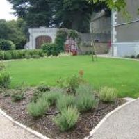 Photo de Jardinage à Bougival