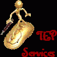 auto-entrepreneur Développeur Développeur, briare 45