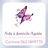 Repassage  nettoyage vitres Plan de Cuques