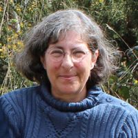 Photo de Marketing à Concarneau