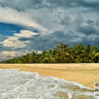 auto-entrepreneur Maçon Maçon, BORDEAUX 33