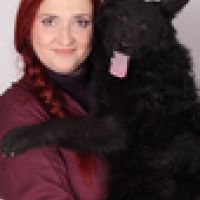 Photo de Garde d'animaux à St Romain Sous Gourdon