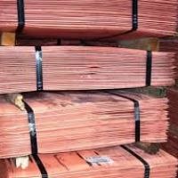 auto-entrepreneur Commercial Commercial, METZ 57